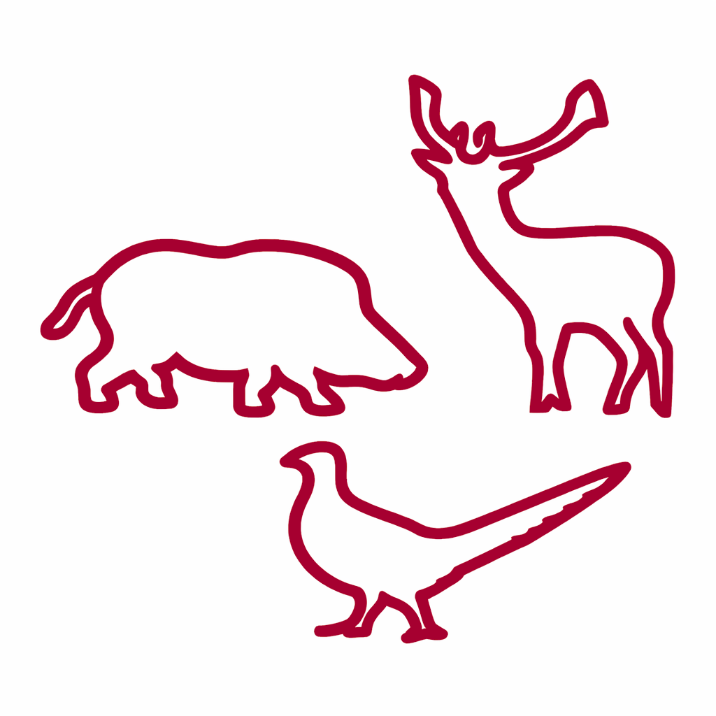 Dziczyzna